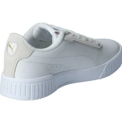 Carina 2.0 Laser Cut