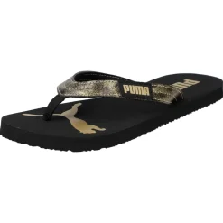 Cozy Flip Wns Stardust