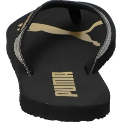 Cozy Flip Wns Stardust