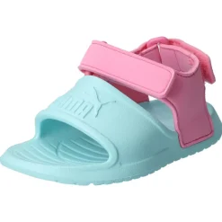 Divecat v2 Injex Inf