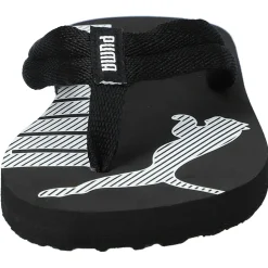 Epic Flip v2 Power Ps