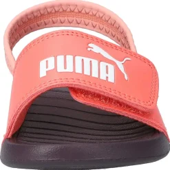 Popcat 20 Backstrap AC Inf