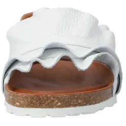 Rocio Nucleo Volante